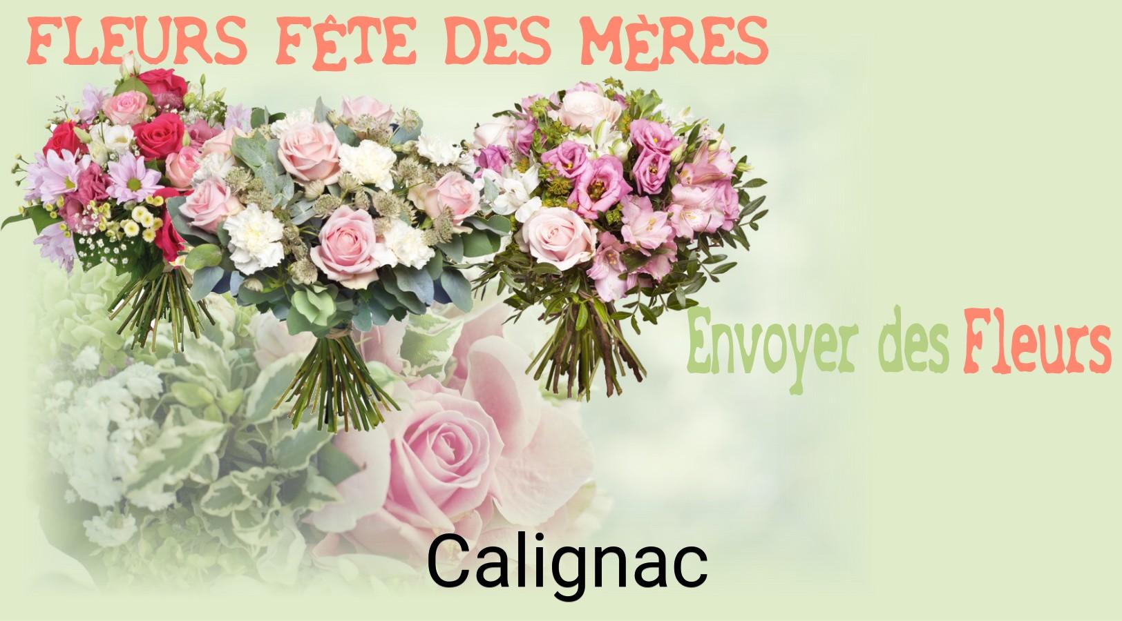 Bouquet de Fête des Mères livré à Calignac